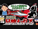 【2024年】高級リゾートの水槽でサメに襲われた児童　動画が拡散しその逃げる姿に衝撃 【ゆっくり解説】