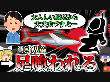 【2024年】高級リゾートの水槽でサメに襲われた児童　動画が拡散しその逃げる姿に衝撃 【ゆっくり解説】
