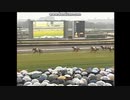 2006 中山記念(GII)　バランスオブゲーム