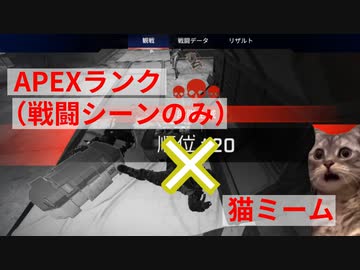 Apex戦闘シーンのみダイジェスト✕猫ミーム