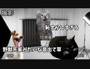 【男優編】ホモビデオ制作会社アルバイトの日常 #猫ミーム #猫マニ