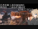 厄憑苦難一週目SEKIRO　二体もボス斃せばもう見どころだよね