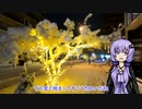 【ゆかマキVlog】大雪の夜に善光寺まで散歩した話