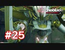 【実況】ゼノブレイドDE #25