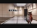 そうま転職活動編