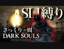 忙しい人のためのDARK SOULS【SL1縛り編】