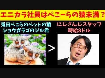 米国白人弁護士「ぺこーらのペットの猿のほうが時給8ドルのにじさんじ社員より良い暮らししてる」【エニカラ/Legal Mindset/ホロライブ/セレン龍月/兎田ぺこら】