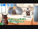 【猫ミーム】理不尽がやってきた話