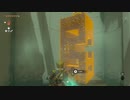 【ティアキン】自由すぎる遊びを楽しむリンクさんの冒険　５９話【ドリカラ】【ボイスピ実況,ゼルダの伝説,ティアーズオブザキングダム,TotK】