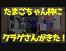 【ニコニコ生放送】たまごちゃん枠にクラゲさんがきた！【VTUBER】　