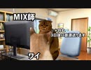 歌い手が歌ってみたをアップするまで【猫ミーム】