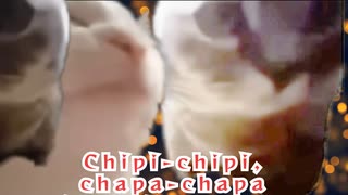 「チピチピチャパチャパ」を針スピ子さんに歌ってもらった