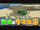 カメに助けを求め卵をもらう逆浦島状態【マイクラ】金閣寺#12