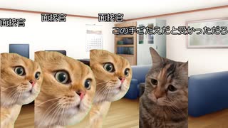 【猫ミーム】地元の自治体に落ちた話