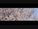 カルダモンP - 春縛霊 (feat. 初音ミク)
