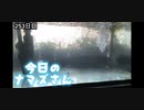 赤ちゃんなまず飼育日記 253日目