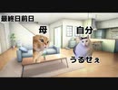【猫ミーム】猫たちの夏休み