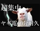 【作業用BGM】ヤギに電流走る【60分耐久】