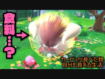 カービィが食べたものしか現実で食べられない生活 2日目【星のカービィ ディスカバリー】