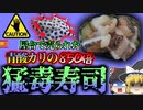 【2023年】”青酸カリの850倍”屋台で購入したタコの寿司に猛毒を持つ「ヒョウモンダコ」三年前にも串焼きに混入する事件が【ゆっくり解説】