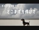 ダックスフンド、どこまでも伸びて / 丘与式杞憂 feat. 可不