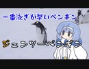 つづみの10秒おさかな解説#37 ジェンツーペンギン