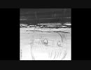 ノンフィクション・フィクション / ナースロボ＿タイプT