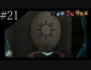〔極限脱出 9時間9人9の扉〕青年、脱出ゲームに挑む　part21