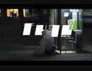 fugu / feat.可不