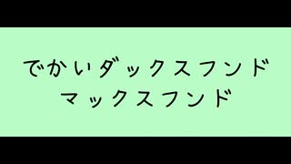 でかいダックスフンド　マックスフンド feat.知声 - 盛り塩