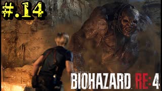 【BIOHAZARD_RE:4】ヘタレが大統領の娘のパンツは見れないけど頑張る【完全初見】#.14