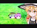 【ゆっくり茶番】こいしの飼い方（23～34話）