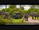 Small Group Tours