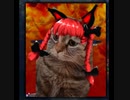 死体猫行〜Be of good cat!