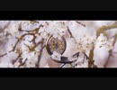 アルストロメリアの花束「水月鏡花」feat.初音ミク［Official Music Video］