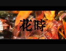 【MV】花時 - Sally feat.Chis-A(Voisona)