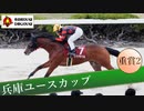 第16回兵庫ユースカップ【ドバイWC風再編集】