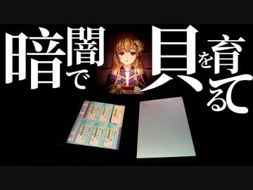 暗闇で貝を育てる　〜産卵ライフの蒟蒻畑〜