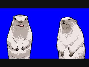 ハッピーマーモットBB