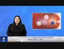 コロナワクチンが複数の致死的疾患を誘発、WHOの研究で確認