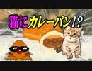 【猫ミーム】ホモと学ぶ猫にカレーパンを与えた40歳業人の末路