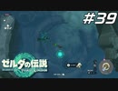 【ティアキン】またしても謎の試練に参加させられるリンク ゼルダの伝説 ティアーズオブザキングダム Part39【ゲーム実況】