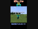 弱点を教えてしまったヒーロー [マイクラ]