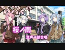 【歌うA.I.VOICE】桜ノ雨 混声４部合唱【カバー曲】