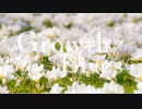 Growth of Lives / 巡音ルカ