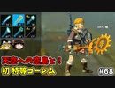 【ゆっくり実況】初めてのティアーズオブザキングダム！ part68【ティアーズオブザキングダム】