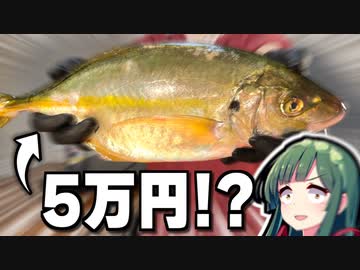 市場はスーパーより安く魚が買える…そんなふうに考えていた時期が俺にもありました…