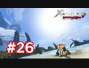 【実況】ゼノブレイドDE #26