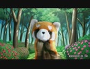 レッサーパンダの明日の天気予報