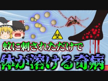 【2016年】”蚊に刺されただけ”　痛みを感じないのに肉が腐り骨が飛び出す奇病…日本でも毎年数名が感染する「ブルーリ潰瘍」これを恐れ出川哲郎氏に鼻ザリガニ禁止令も【ゆっくり解説】